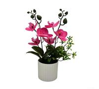 KHIronHive Bonsái artificial de orquídea Phalaenopsis con 6 flores, planta falsa realista en maceta para decoración de oficina en casa, arreglo floral de seda de bajo mantenimiento, vegetación