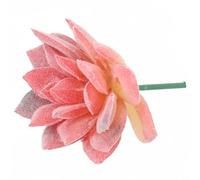 KHIronHive Plantas suculentas artificiales para decoración del hogar, miniatura realista de plástico falso con colores vibrantes, ideal para arreglos de boda, ramo de novia, fiesta, oficina y café