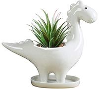 KiaoTime Macetas suculentas de cerámica Blanca con Forma de Dinosaurio, macetas pequeñas de Flores, bonsái, macetas de Dinosaurio, jarrón, contenedor de Cactus de Escritorio(herbívoro)