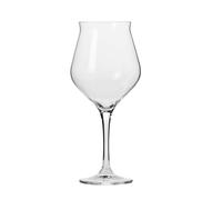KIAPPO Juego de 6 vasos modernos para cerveza, champán, copas de vino blanco, copas de vino Spiegelau, 420 ml