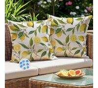 Kiatuniya Funda Cojin Exterior Impermeable 45x45 cm Limón Amarillo Cuadros Fundas Cojines Decorativos Moderna Lavable Funda Almohada para Sofá Jardín Silla Terraza Balcones Salón, Juego de 2