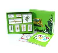 KiBcsLic Kit Especímenes en Resina Didáctico Muestrario Especímenes Transparente Kit Ciencia con Manual para Aprendices, El Secreto Del Bambú