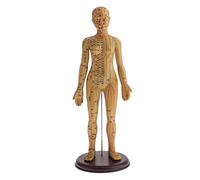 KiBcsLic Modelo de Puntos de Figura Anatómica Humana de Meridianos Base Plástica con Letras Precisas para Educación Médica Práctica de Masaje, 48cm Hembra Blanda