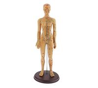 KiBcsLic Modelo de Puntos de Figura Anatómica Humana de Meridianos Base Plástica con Letras Precisas para Educación Médica Práctica de Masaje, 48cm Hembra Duro