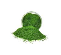 KiBcsLic Polvo de Césped Artificial para Decoración de Terreno, Miniaturas de Césped, 185 Ml, Césped Sintético para Calles, Edificios, Jardines de Hadas Y Pais, Verde Oscuro