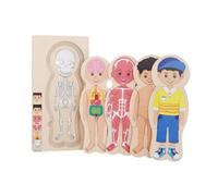 KiBcsLic Rompecabezas de Madera del Cuerpo Humano para Niños, Juguetes Educativos, Juego Preescolar, para Niñas Y Niños, Chico