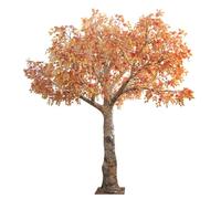 KIBONCY Abedul de Colores simulados, decoración de Plantas simuladas y Espacio de embellecimiento, árbol Artificial Grande, Planta Verde, Florista de pie, árbol Artificial(3M)