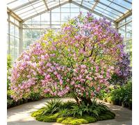 KIBONCY Árbol Artificial de Flores Lilas moradas: decoración Perfecta for centros comerciales y hoteles(6.5x5m)