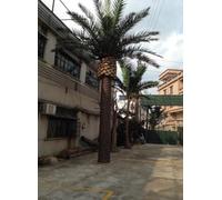 KIBONCY Árbol de coco simulado para exteriores, árbol de algas marinas de fibra de vidrio grande, árbol de paisaje simulado, 6 m