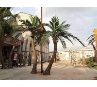 KIBONCY Árbol de coco simulado para exteriores, árbol de algas marinas de fibra de vidrio grande, árbol de paisaje simulado de 2 m + 3 m