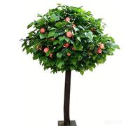KIBONCY Artificial Orange Tree with Realistic Fruits, Large Simulation Tree Suitable with Solid Wood Trunk, Indoor Home Hotel Mall Decorative(2.5x2.5m)