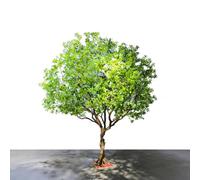KIBONCY Full Round Canopy Faux Tree, Rust-Proof Metal-Framed Artificial, Anti-Fade Green Foliage Fake for Restaurant, Office(3.5mx2.5m)