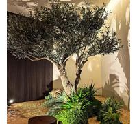 KIBONCY Large Artificial Olive Tree, Faux Plant Realistic Fake, Lifelike Green for Lobby Hotel Office Indoor Landscape Decor
