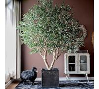 KIBONCY Olivo Artificial de simulación con Ramas y Frutos, Olivo Falso para decoración Interior y Exterior de la Oficina en el hogar(3m/118.1in/9.8ft)