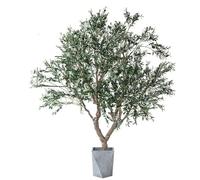 KIBONCY Olivo Artificial, Olivo Falso de Seda con Ramas y Frutos, olivos para Interiores y Exteriores, para decoración del hogar, Oficina, Sala de Estar, vestíbulo y Porche(1.5m/59.1in/4.9ft)