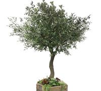 KIBONCY Simulación de Olivo, árbol Artificial, árbol de Seda Falso, Grandes Ramas de Olivo de imitación, Frutas para decoración Moderna de Oficina(0.6m/23.6in/2.0ft)
