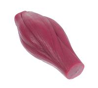 KICHOUSE 1 Modelo De Músculo Anatomía De Los Músculos Del Cuerpo Modelo De Músculos Del Cuerpo Modelo Del Cuerpo Humano Modelo Muscular Anatómico Modelo De Enseñanza De 1 Libra Gel