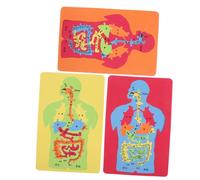 KICHOUSE 3piezas Puzzle Cognitivo De Anatomía para Juguete Educativo De Jigsaw para Guarderías y Escuelas Primarias
