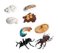 KICHOUSE 8 Piezas Adornos De Modelos Animales Modelo De Juguete De Insectos Juguetes del Ciclo De Vida Ranas Juguetes Juguete del Ciclo De Vida De La Hormiga De Polivinilo