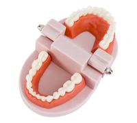 KICHOUSE de Dientes Estándar Herramienta Didáctica de Pvc para Demostración y Planificación Odontología para Enseñanza Base Fija y Tamaño