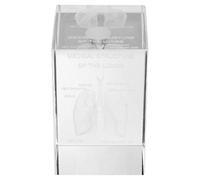 KICHOUSE Figura Médica De Pulmón En Cubo De Cristal Transparente Para Enseñanza De Fisiología Y Decoración Científica En Entornos Escolares