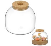 Kichvoe Terrario de Vidrio Pequeño con Tapa de Corcho, Contenedor de Plantas Hidropónicas y Musgo para Decoración Interior, Terrario de Mesa Ecológico, Botella para Micropaisaje y Pecera