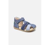 Kickers Bigbazar-2 20 Azul