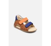 Kickers Boping-2 25 Marrón