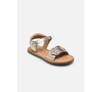 Kickers Dyastar 20 Oro y bronce