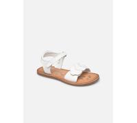 Kickers Dyastar 24 Blanco