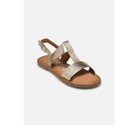 Kickers KICK DINES 39 Oro y bronce