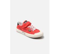 Kickers KICKGOLDI 26 Rojo