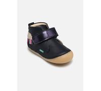 Kickers Sabio 19 Azul