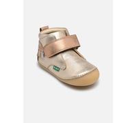 Kickers Sabio 22 Oro y bronce