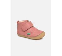 Kickers Sabio 23 Rosa