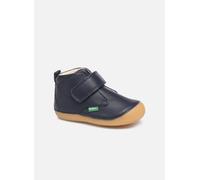 KICKERS 584348 AZUL 24