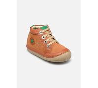 KICKERS SONISTREET MARRON 22