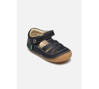 Kickers Sushy 21 Azul