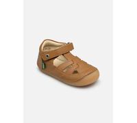 Kickers Sushy, Oxford Plano Bebé-Niños, Camel Claro, 21 EU