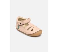 Kickers Sushy 25 Rosa