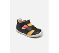 Kickers Wasabou 23 Azul
