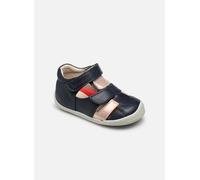 Kickers Wasabou 23 Azul