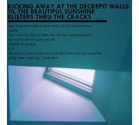 Kicking Away At The Decrepit Walls Til The Beautiful Sunshine Blisters [Vinilo]