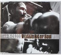 Kid Loco - A Little Bit of Soul