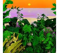 Kid Simius & Bonaparte - Good Things [VINYL] [Vinilo]