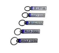 KIDDI-MEDIA Llavero para matrícula/placa de coche, personalizado según su deseo, con el escudo de la Federación Federal correspondiente y la etiqueta TÜV según sus datos, Luminoso/Fluorescente (en la