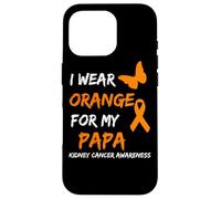 Kidney Cancer I Wear Orange For My Papa Ribbon Carcasa para iPhone 16 Pro