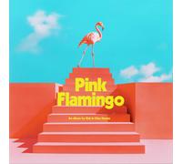 Kids in Glass Houses Pink Flamingo (Vinyl) 12" Album