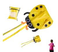 Kids Kite | Ladybug Pattern Outdoor Beach Activity