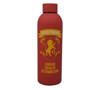 KIDS EUROSWAN Botella de agua Harry Potter Gryffindor 700 ml Acero inoxidable Tacto suave